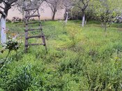 Продаётся 7-комн. дом/дача 400 м², Сураханский  р., photo 3 from 8