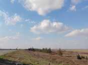 Elan №6039155 - Bakı, Ələt q., 450 sot