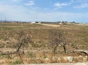 Продаётся  участок 250 сот, пос. Мамедли, photo 2 from 3