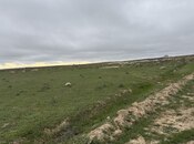 Продаётся  участок 110 сот, пос. Масазыр, photo 3 from 3
