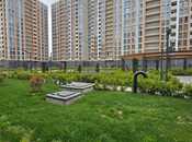 Объявление №6039637 - Баку, пос. Ени Ясамал, 3-комн., 70 м², 11/14 этаж