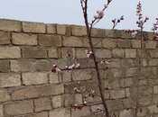 Продаётся 1-комн. дом/дача 40 м², пос. Савалан, photo 4 from 7