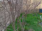 Продаётся 1-комн. дом/дача 40 м², пос. Савалан, photo 5 from 7