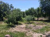 Elan №6039899 - Bakı, Bülbülə q., 6 sot