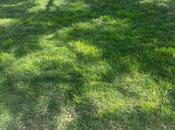 Продаётся  участок 5 сот, пос. Шаган, photo 4 from 5