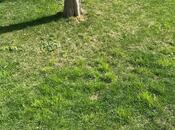 Продаётся  участок 5 сот, пос. Шаган, photo 5 from 5