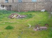 Объявление №6040713 - Баку, пос. Бина, 2 сот