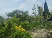 İcarəyə verilir 4 otaqlı həyət evi/bağ evi 120 m², Xocəsən m., photo 8 from 8