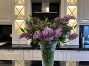 Объявление №6040837 - Баку, м. Нариман Нариманов, 3-комн., 137 м², 8/16 этаж