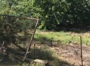 Продаётся  участок 5.5 сот, пос. Шувеляны, photo 3 from 3