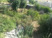 Объявление №6041293 - Баку, пос. Масазыр, 15.9 сот