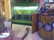 Продаётся  объект 350 м², м. Мемар Аджеми, photo 4 from 8