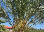 Продаётся 7-комн. дом/дача 180 м², пос. Шувеляны, photo 5 from 8