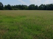 Объявление №5969016 - Баку, пос. Фатмаи, 570 сот