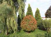 Satılır 4 otaqlı həyət evi/bağ evi 161 m², Bilgəh q., photo 3 from 8