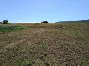 Продаётся  участок 350 сот, м. Ахмедлы, photo 1 from 3