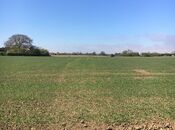 Продаётся  участок 350 сот, м. Ахмедлы, photo 2 from 3