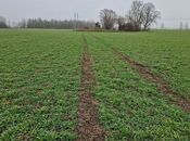 Продаётся  участок 350 сот, м. Ахмедлы, photo 3 from 3