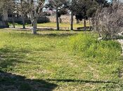 Продаётся  участок 32 сот, пос. Шувеляны, photo 3 from 8