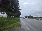 Объявление №6043127 - Баку, пос. Сарай, 100 сот