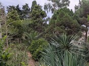 Продаётся 5-комн. дом/дача 240 м², пос. Нардаран, photo 2 from 8