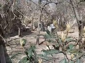 Satılır  torpaq 4 sot, Nəsimi m., photo 5 from 5