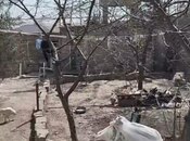 Satılır  torpaq 4 sot, Nəsimi m., photo 3 from 5