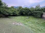 Elan №6043792 - Zaqatala, Zaqatala, 5.5 sot