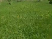 Satılır  torpaq 10 sot, Mehdiabad q., photo 5 from 6