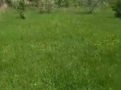 Satılır  torpaq 10 sot, Mehdiabad q., photo 4 from 6