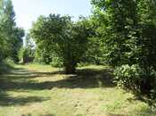 Продаётся  участок 42 сот, photo 7 from 8