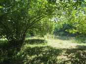 Продаётся  участок 42 сот, photo 4 from 8