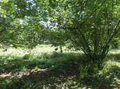 Продаётся  участок 42 сот, photo 8 from 8