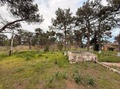 Объявление №6044235 - Баку, пос. Шувеляны, 25 сот