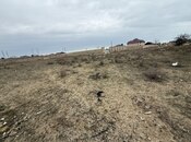 Участок - пос. Гала - 12.4 сот