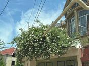 Elan №6044875 - Bakı, Nəsimi m., 5 otaqlı, 250 m²