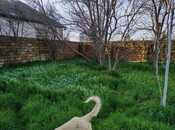 Продаётся  участок 24 сот, пос. Новханы, photo 2 from 8