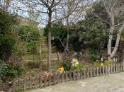 İcarəyə verilir 3 otaqlı həyət evi/bağ evi 130 m², Novxanı q., photo 5 from 8