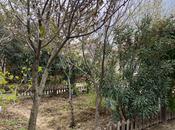 İcarəyə verilir 3 otaqlı həyət evi/bağ evi 130 m², Novxanı q., photo 6 from 8