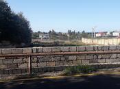 Satılır  torpaq 25 sot, Novxanı q., photo 7 from 8