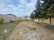 Satılır  torpaq 6 sot, Albalılıq q., photo 3 from 8