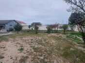 Satılır  torpaq 6 sot, Albalılıq q., photo 5 from 8