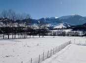 Elan №6046743 - Qusar, Qusar, 5 sot