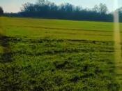 Объявление №6047023 - Хачмаз, Хачмаз, 126 сот