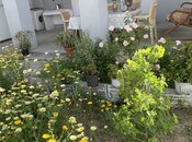 2 otaqlı həyət evi/bağ evi - Şüvəlan q. - 85 m²