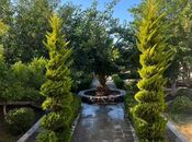 Сдаётся 4-комн. дом/дача 400 м², пос. Мардакан, photo 3 from 8