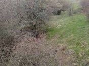 Продаётся  участок 900 сот, photo 6 from 7