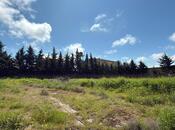 Продаётся  участок 10 сот, пос. Шаган, photo 4 from 6