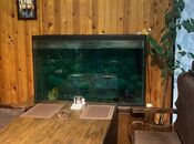 İcarəyə verilir  obyekt 200 m², Azadlıq Prospekti m., photo 3 from 8