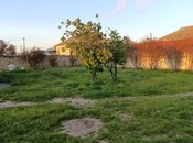 Elan №6048472 - Şirvan, Şirvan, 4 sot